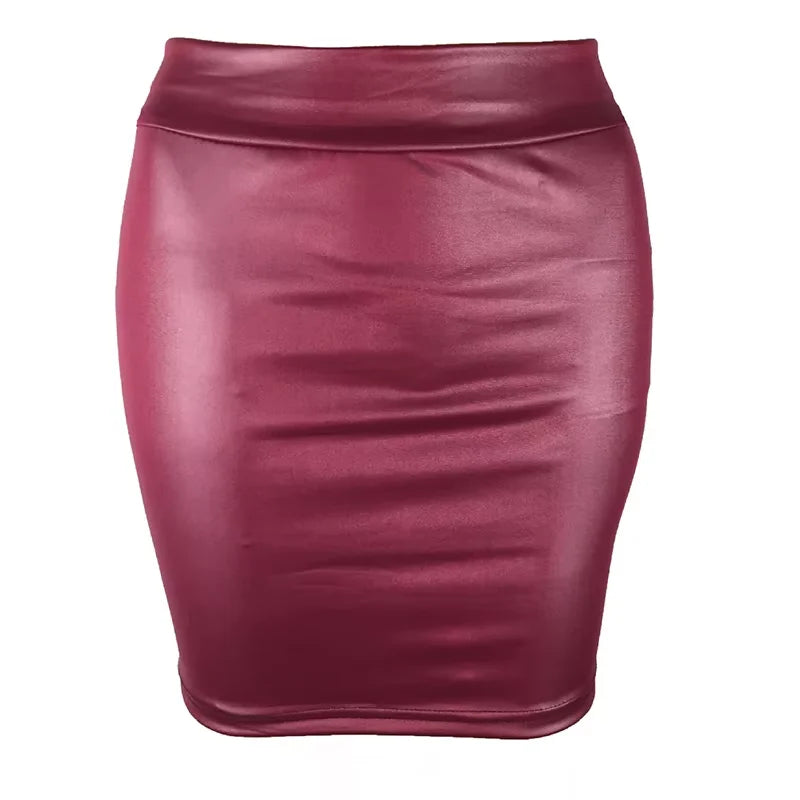 Bodycon Mini Pencil Skirt